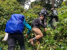 Volcano Hiking Expedition