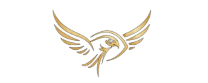 falcon vision adventures