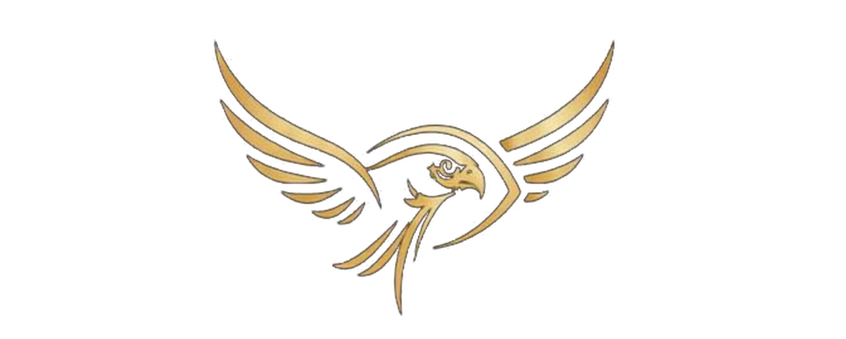 falcon vision adventures